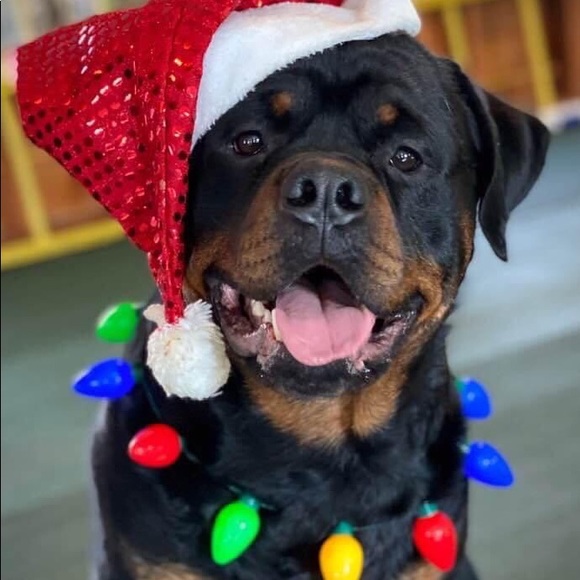 Meet your Posher, Anne - Picture 8 of 15